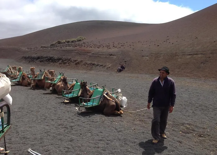 Casa Atika Lejlighed