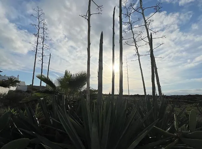 Lejlighed Casa Atika Los Pocillos
