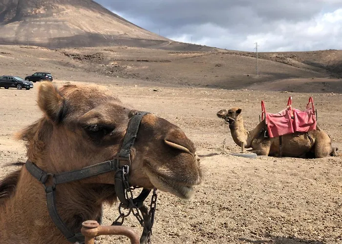 Casa Atika Appartement